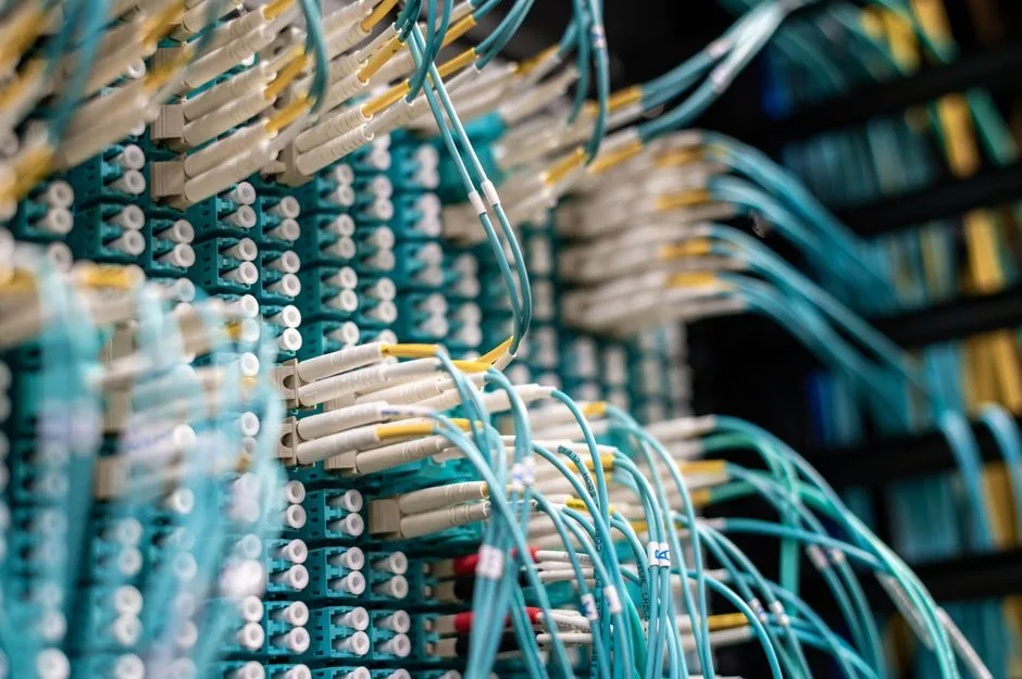 Network cables connecting to a server
