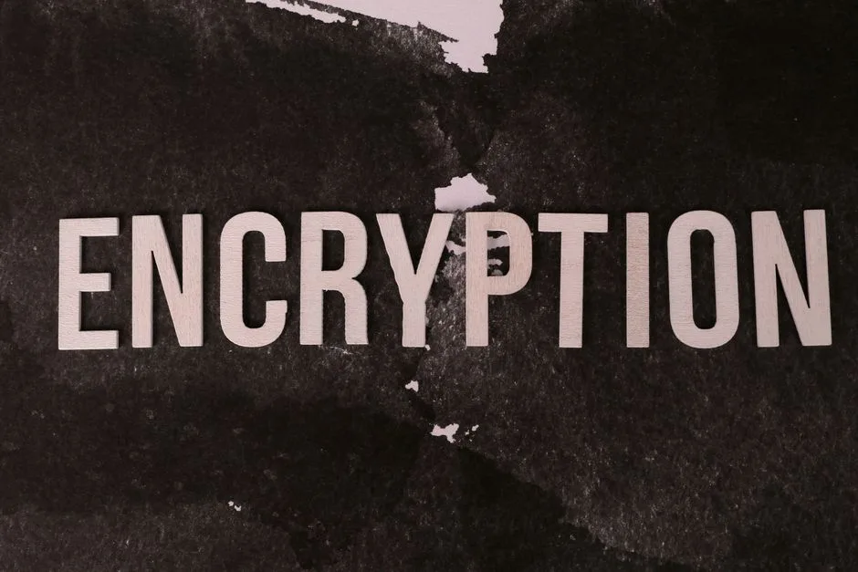 Padlock representing data encryption